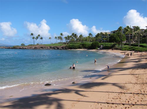 Kapalua Beach - Maui