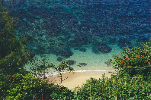 Larsen's Beach Kauai