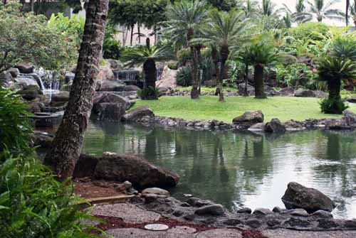 Marriott Kauai Resort pond